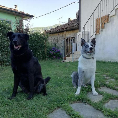 Coreglia Antelminelli B & B Via Di Mezzo מראה חיצוני תמונה